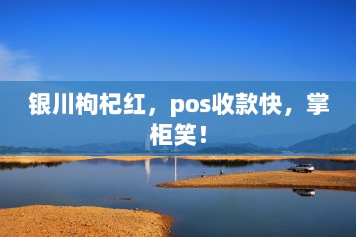 银川枸杞红，pos收款快，掌柜笑！