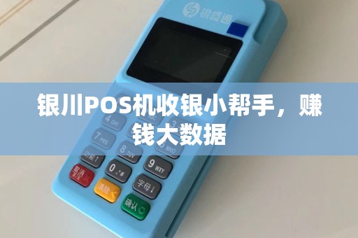 银川POS机收银小帮手，赚钱大数据