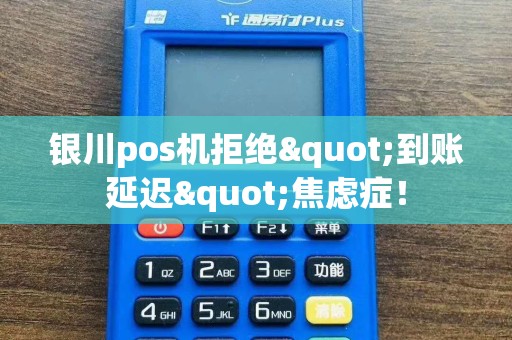 银川pos机拒绝"到账延迟"焦虑症！