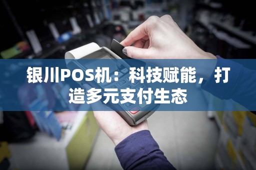 银川POS机：科技赋能，打造多元支付生态