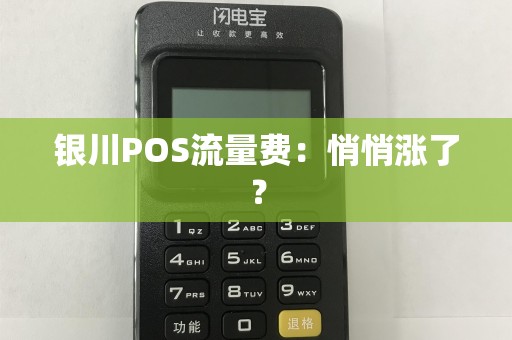 银川POS流量费：悄悄涨了？