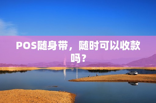 POS随身带，随时可以收款吗？