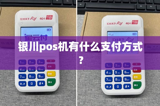 银川pos机有什么支付方式？