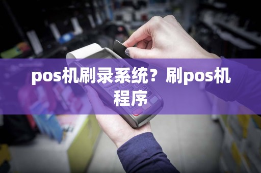 pos机刷录系统？刷pos机程序