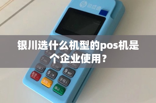 银川选什么机型的pos机是个企业使用？