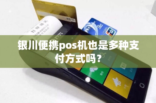 银川便携pos机也是多种支付方式吗? pos机办理 pos机使用 第1张 银川便携pos机也是多种支付方式吗? pos机办理 pos机使用 第1张