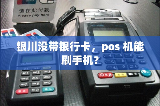 银川没带银行卡,pos 机能刷手机? pos机办理 pos机使用 第1张 银川没带银行卡,pos 机能刷手机? pos机办理 pos机使用 第1张