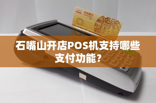 石嘴山开店POS机支持哪些支付功能？