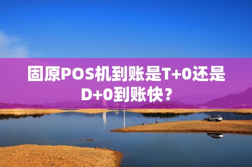 固原POS机到账是T+0还是D+0到账快？