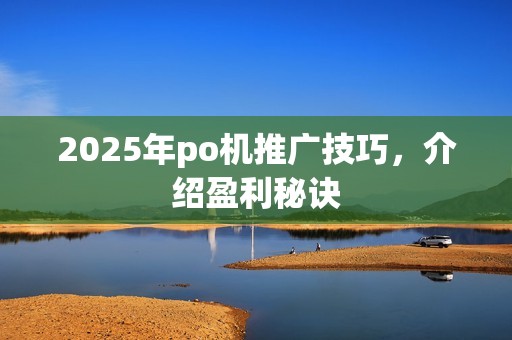 2025年po机推广技巧，介绍盈利秘诀