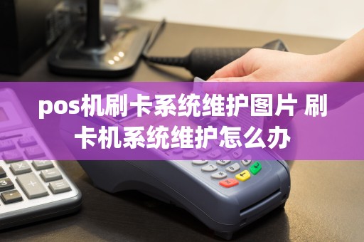 pos机刷卡系统维护图片 刷卡机系统维护怎么办