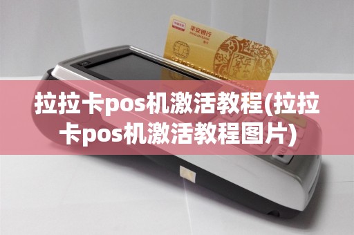 拉拉卡pos机激活教程(拉拉卡pos机激活教程图片)
