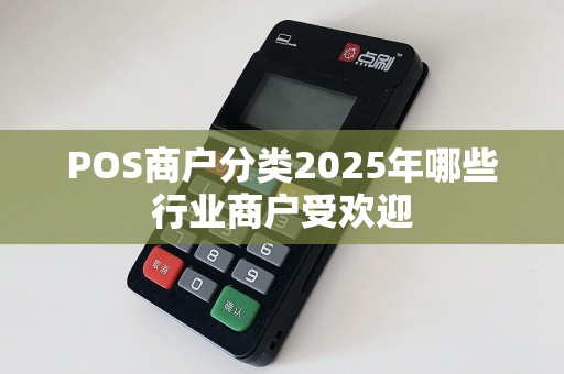 POS商户分类2025年哪些行业商户受欢迎
