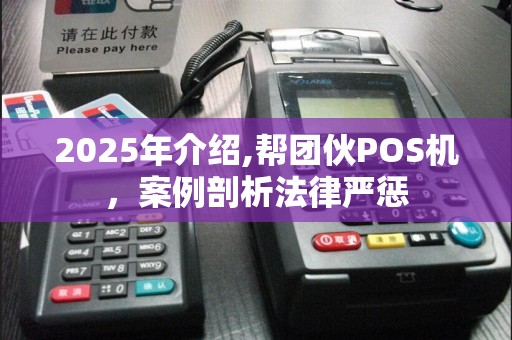 2025年介绍,帮团伙POS机，案例剖析法律严惩