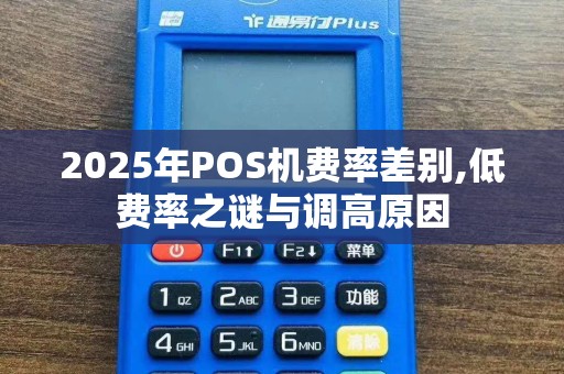 2025年POS机费率差别,低费率之谜与调高原因
