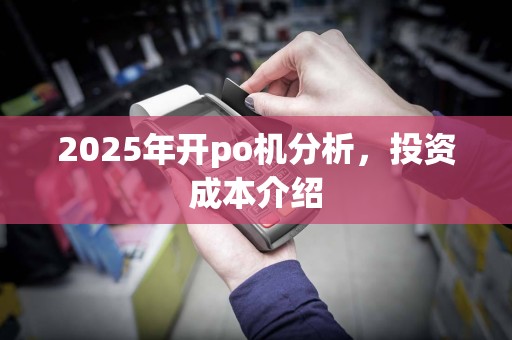 2025年开po机分析，投资成本介绍