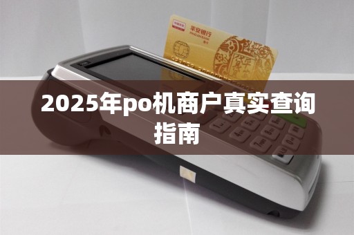 2025年po机商户真实查询指南