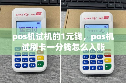 pos机试机的1元钱，pos机试刷卡一分钱怎么入账