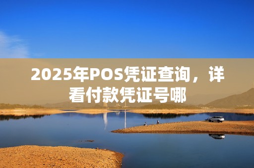 2025年POS凭证查询，详看付款凭证号哪  第1张