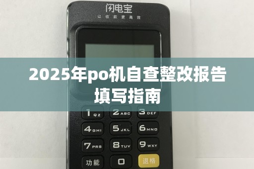 2025年po机自查整改报告填写指南