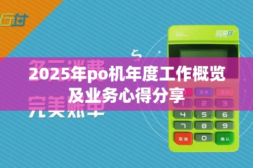2025年po机年度工作概览及业务心得分享