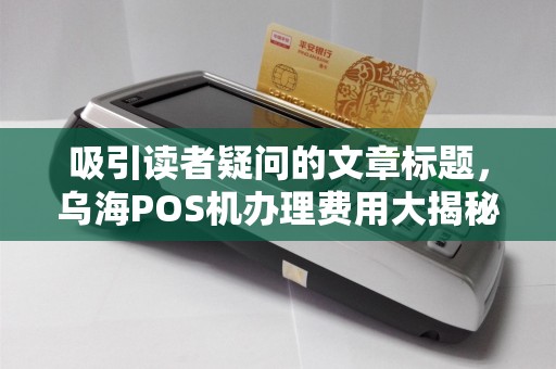 吸引读者疑问的文章标题，乌海POS机办理费用大揭秘，0元办理是真是假？小心这些隐藏收费！