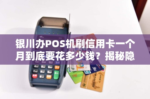 银川办POS机刷信用卡一个月到底要花多少钱？揭秘隐藏费用与省钱技巧！
