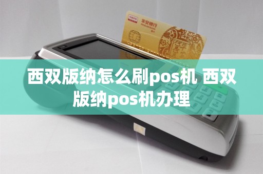 西双版纳怎么刷pos机 西双版纳pos机办理  第1张