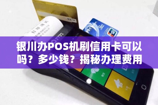 银川办POS机刷信用卡可以吗？多少钱？揭秘办理费用与注意事项！