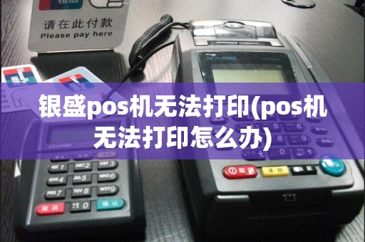 银盛pos机无法打印(pos机无法打印怎么办)  第1张