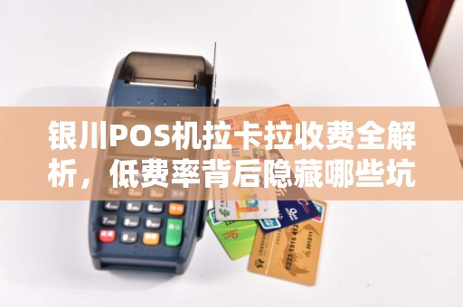 银川POS机拉卡拉收费全解析，低费率背后隐藏哪些坑？