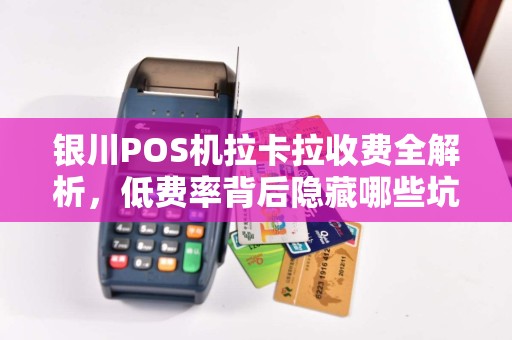 银川POS机拉卡拉收费全解析，低费率背后隐藏哪些坑？