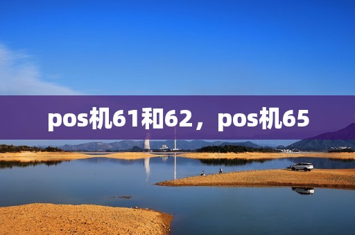 pos机61和62，pos机65  第1张