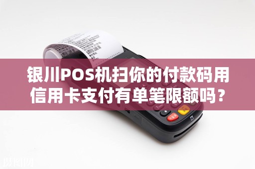 银川POS机扫你的付款码用信用卡支付有单笔限额吗？