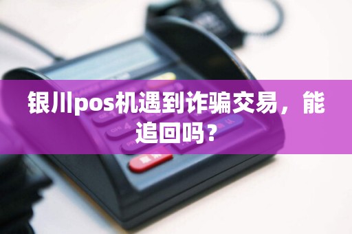 银川pos机遇到诈骗交易，能追回吗？