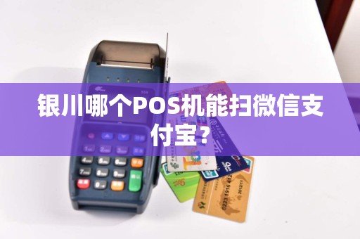 银川哪个POS机能扫微信支付宝？