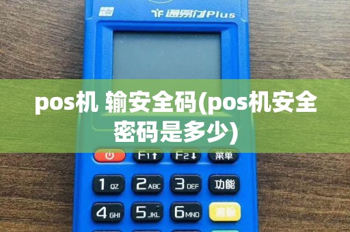 pos机 输安全码(pos机安全密码是多少)  第1张