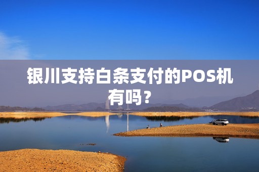 银川支持白条支付的POS机有吗？
