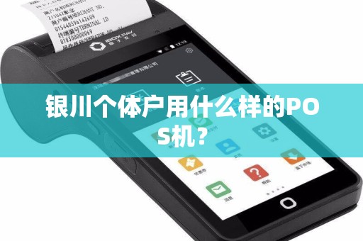 银川个体户用什么样的POS机？