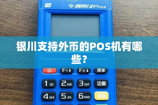 银川支持外币的POS机有哪些？