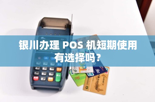 银川办理 POS 机短期使用有选择吗？