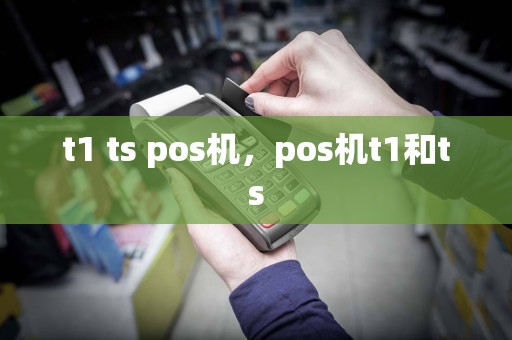 t1 ts pos机，pos机t1和ts