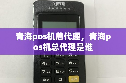 青海pos机总代理，青海pos机总代理是谁  第1张