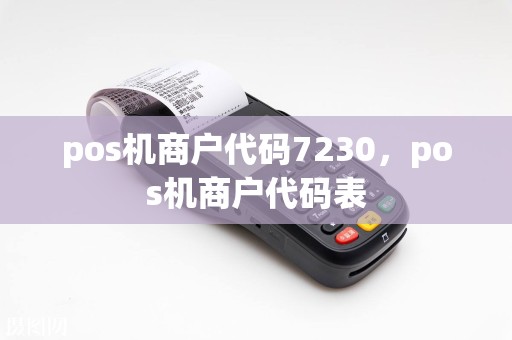 pos机商户代码7230，pos机商户代码表  第1张