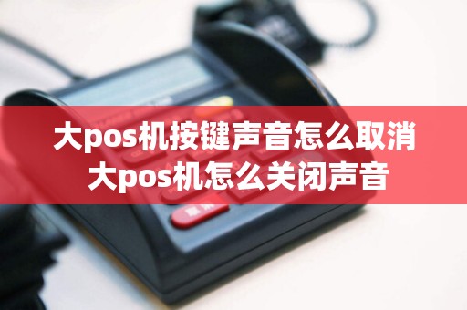 大pos机按键声音怎么取消 大pos机怎么关闭声音