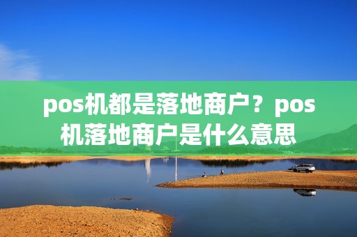 pos机都是落地商户？pos机落地商户是什么意思  第1张