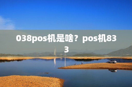 038pos机是啥？pos机833  第1张