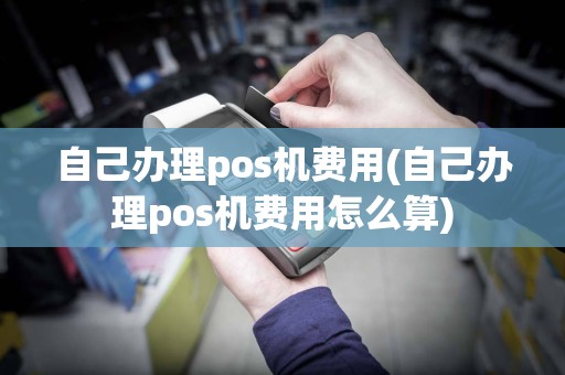 自己办理pos机费用(自己办理pos机费用怎么算)