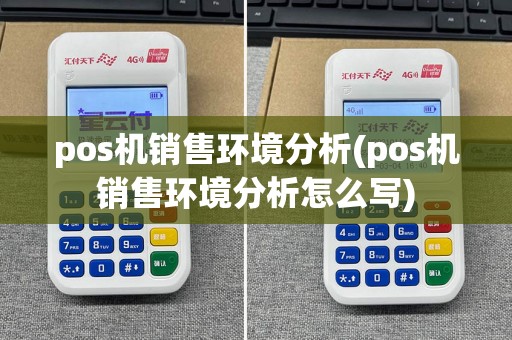 pos机销售环境分析(pos机销售环境分析怎么写)