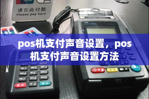 pos机支付声音设置，pos机支付声音设置方法